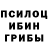 Галлюциногенные грибы мицелий Kuga San