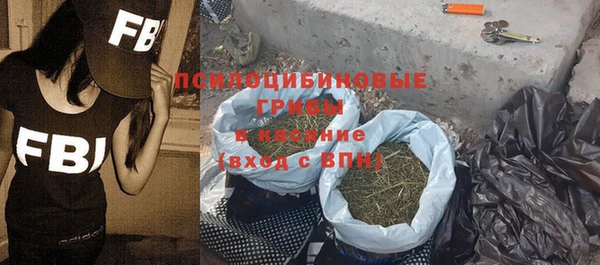 мет Арсеньев