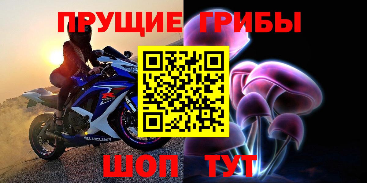 Псилоцибиновые грибы Cubensis Муравленко
