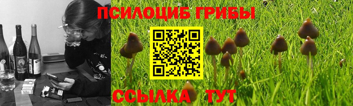 Псилоцибиновые грибы Psilocybe  Вход с VPN  дарнет шоп  Муравленко 
